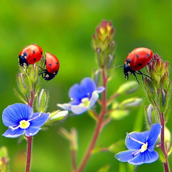 Meet your Posher, Mari - Picture 1 of 1